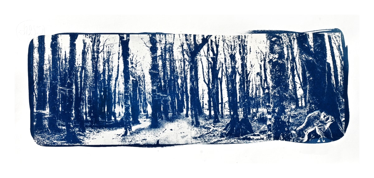 Forest Angst by Adi Tait  Image: Edition of 10