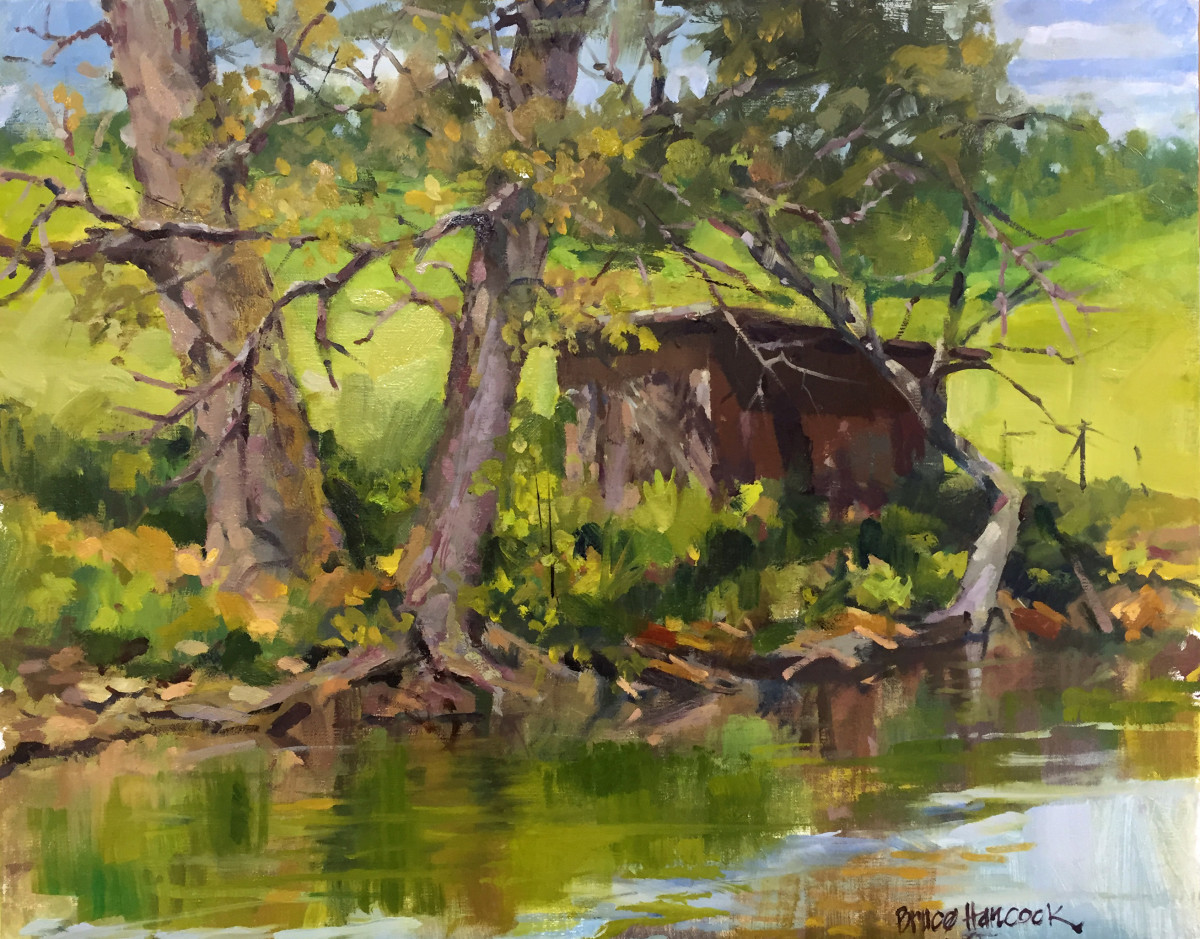 Larry's Shed (Studio)  by Bruce Hancock, Image 1.