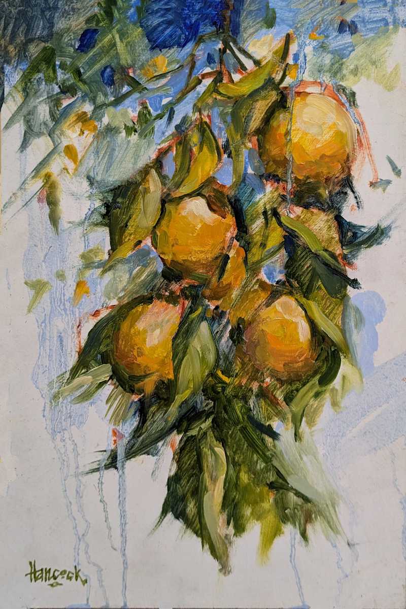 Oranges on the Tree by Bruce Hancock 