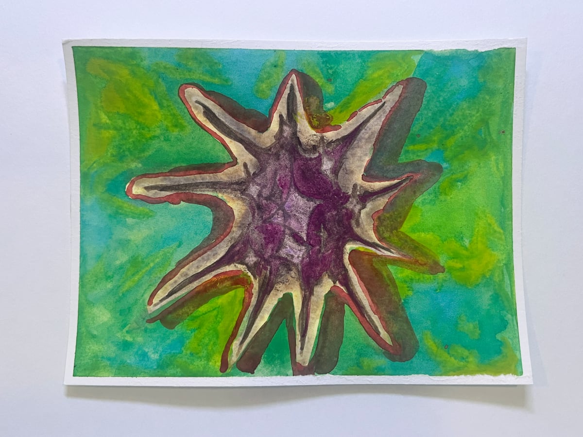 Collapsing Star by Carmel Dor 