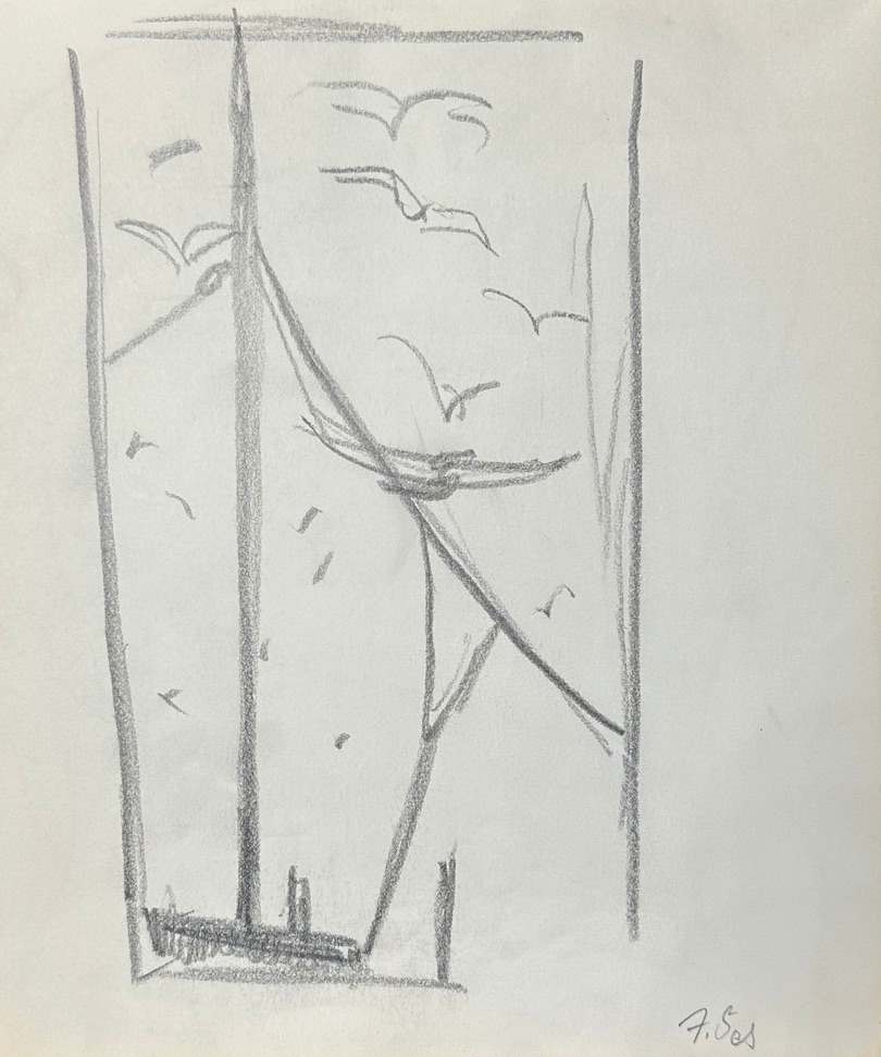 "Seagulls, First Sketch" named by CLL by Fred Shane, Image 1.