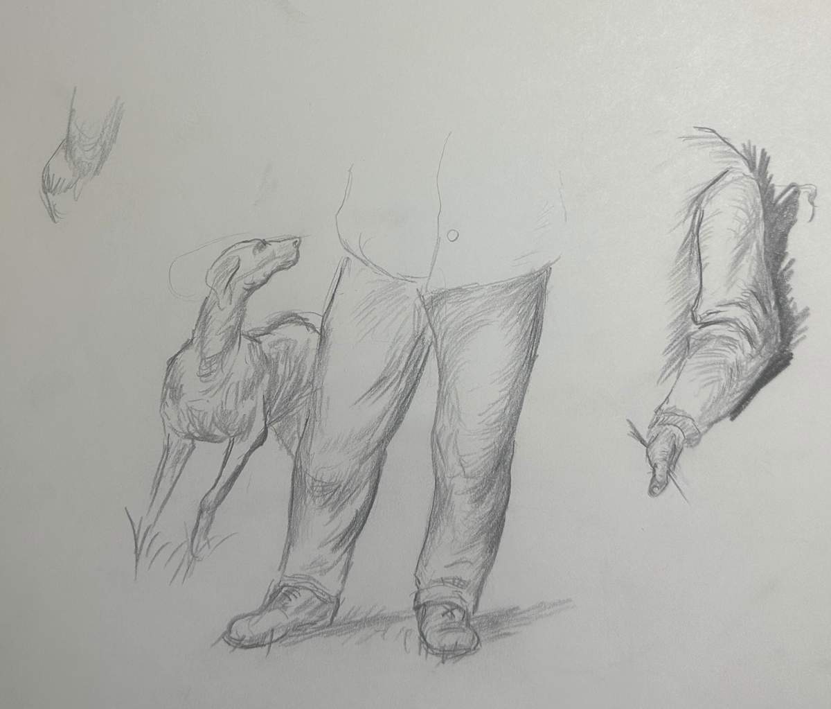 "Coon Hunter, No. 3" sketch by Fred Shane, Image 1.