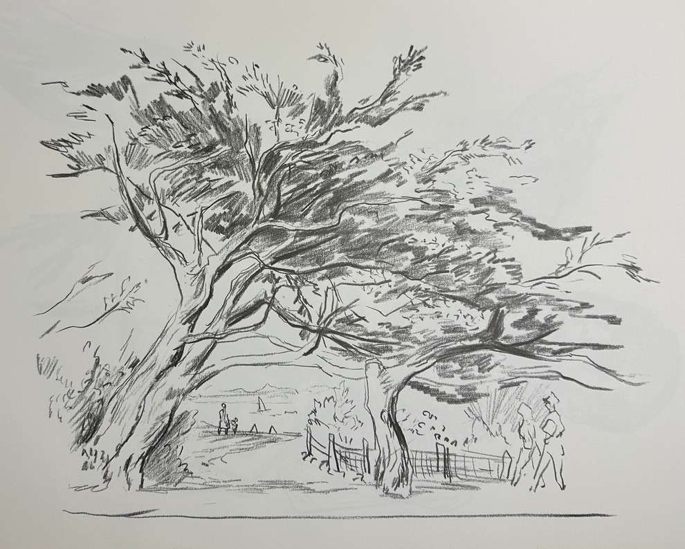 "Cypress Trees, Monterey, CA" by Fred Shane, Image 1.