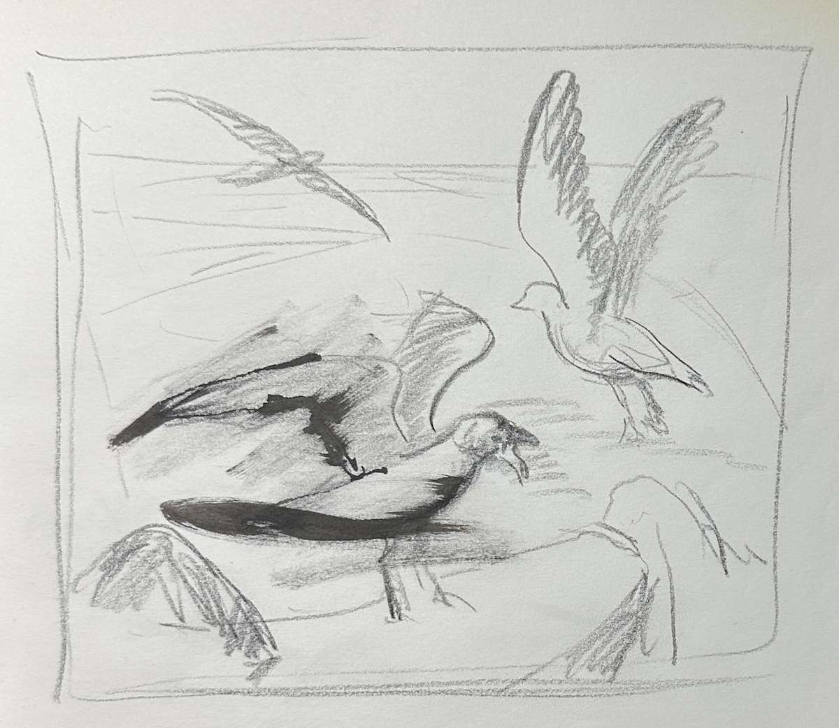 "Seagulls, Fourth Sketch" named by CLL by Fred Shane, Image 1.