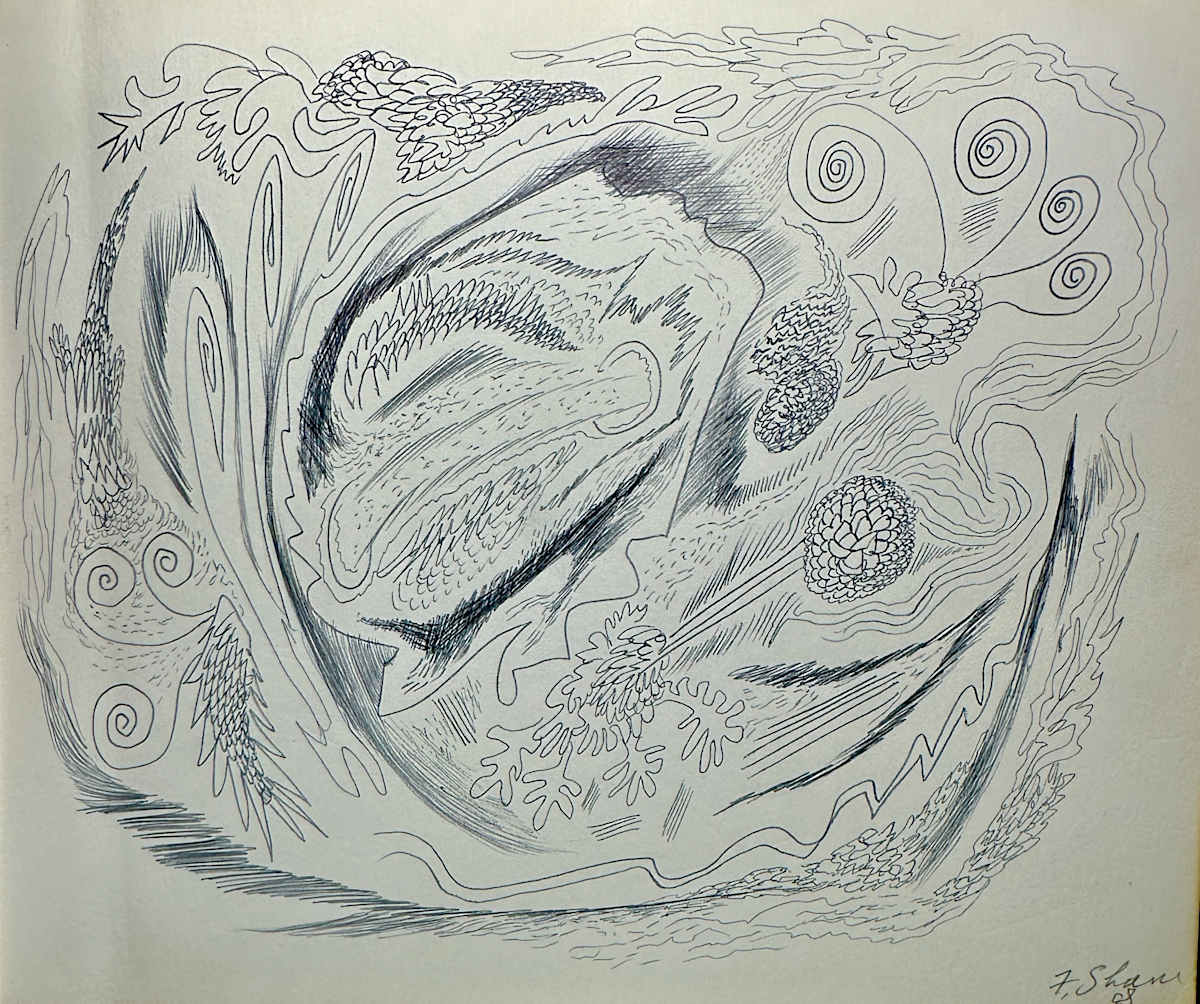 "Organic Abstraction" named by CLL by Fred Shane, Image 1.