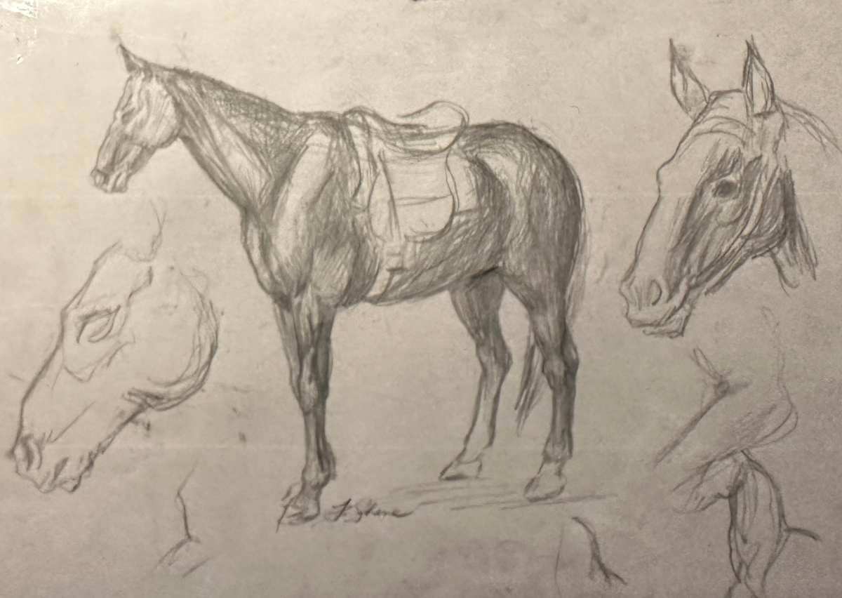 "Horse Study" named by CLL by Fred Shane, Image 1.