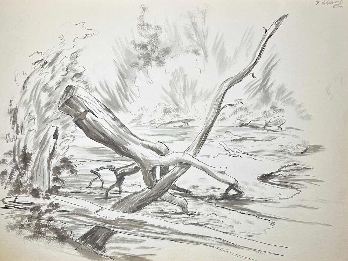 "Logs in a River" named by CLL by Fred Shane, Image 1.