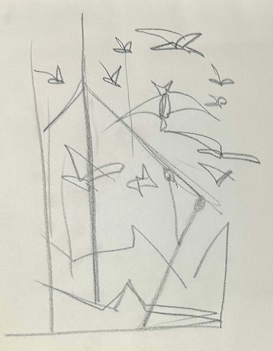 "Seagulls, Third Sketch" named by CLL by Fred Shane, Image 2.