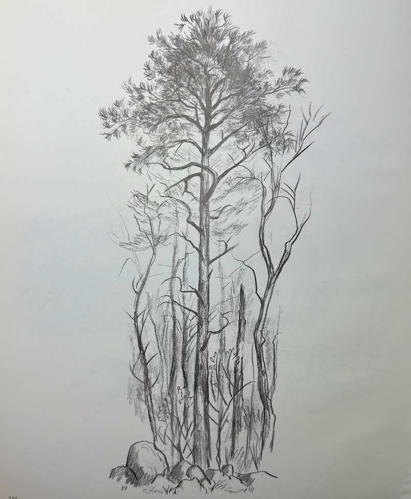 "Argilla Road" pencil sketch by Fred Shane, Image 1.