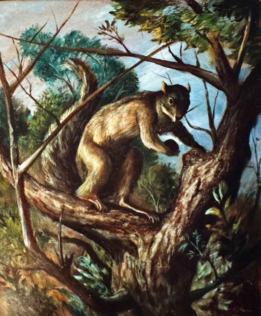"Squirrel in a Tree" by Fred Shane, Image 1.