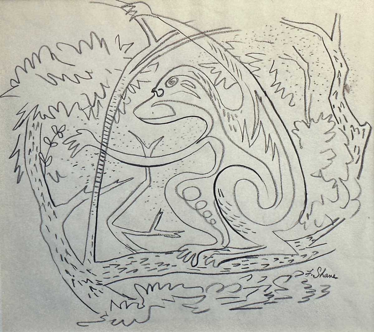 "Monkey Doodle" named by CLL by Fred Shane, Image 1.