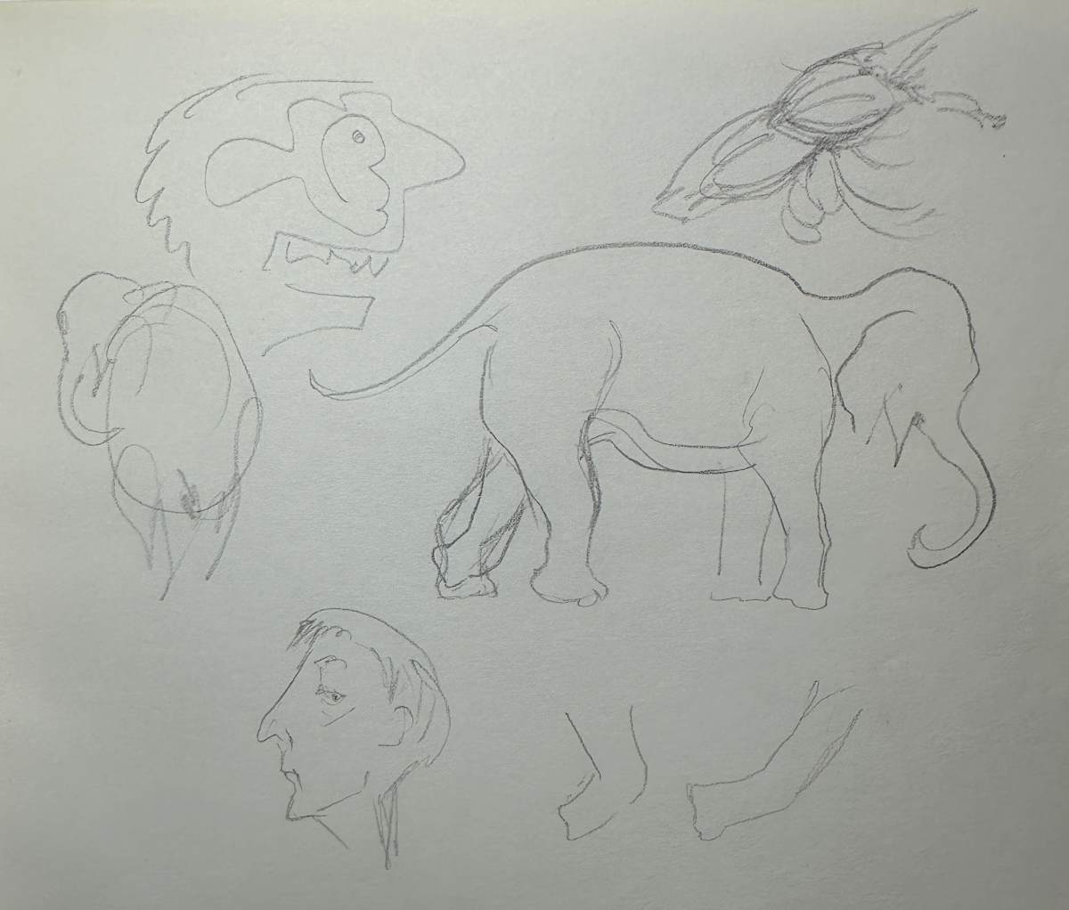 "Elephants and Faces" named by CLL by Fred Shane, Image 1.