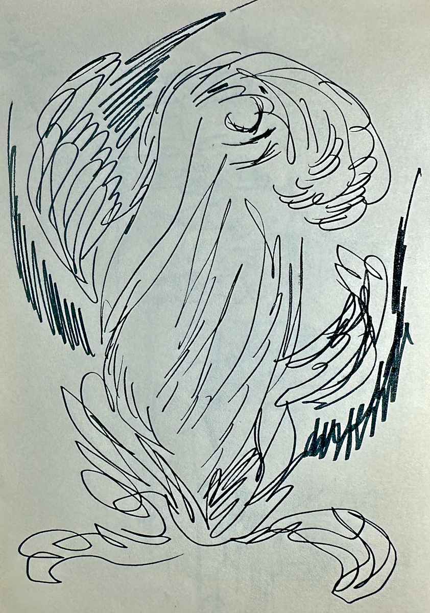 "Bird with a Nose" named by CLL by Fred Shane, Image 1.