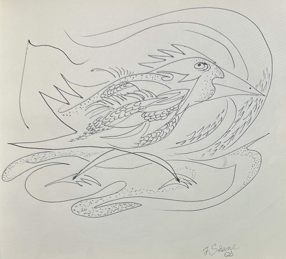 "Doodle Bird" named by CLL by Fred Shane, Image 1.