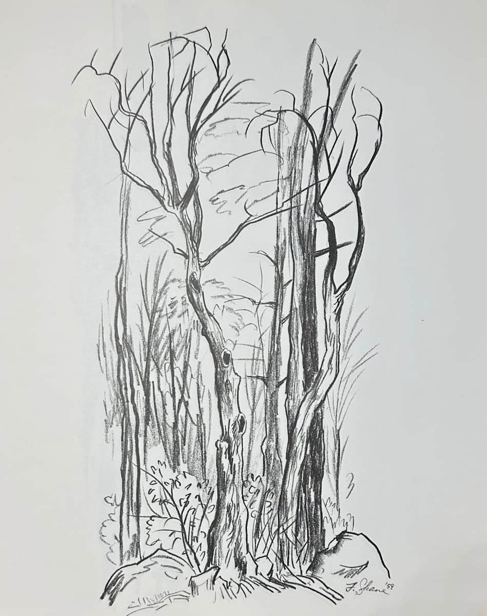 "Trees" study by Fred Shane, Image 1.