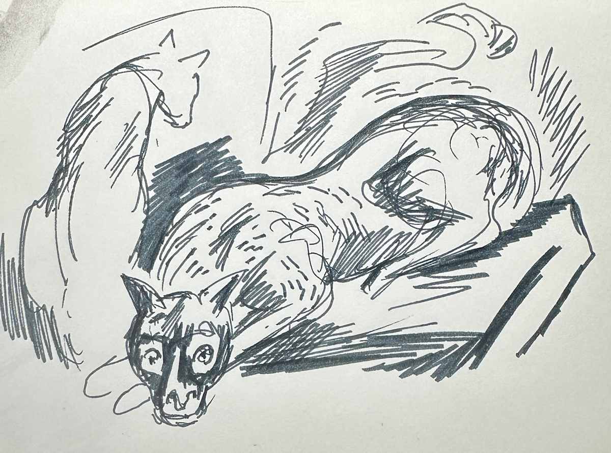 "Lounging Cat" named by CLL by Fred Shane, Image 1.