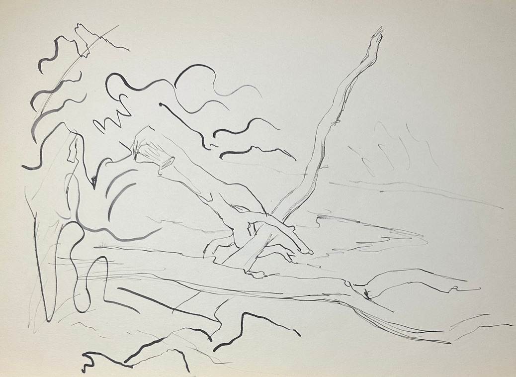 "Logs in a River, Initial Sketch" named by CLL by Fred Shane, Image 1.