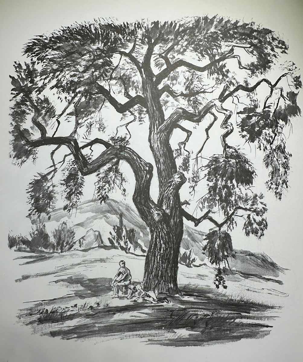 "Live Oak Tree" by Fred Shane, Image 1.