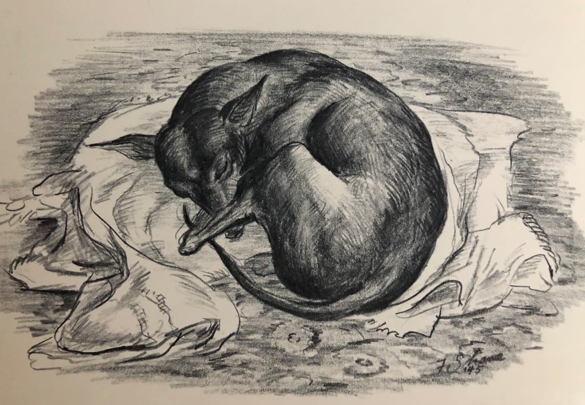 "Fitzi the First" named by CLL by Claudia Lohnes, Image 1.