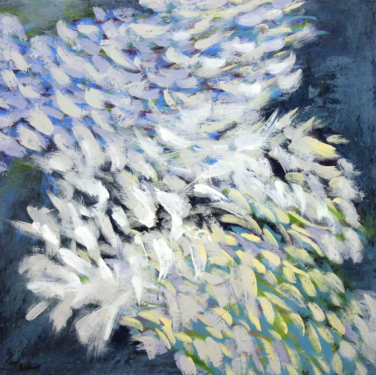 Feathers by Shirley Williams 