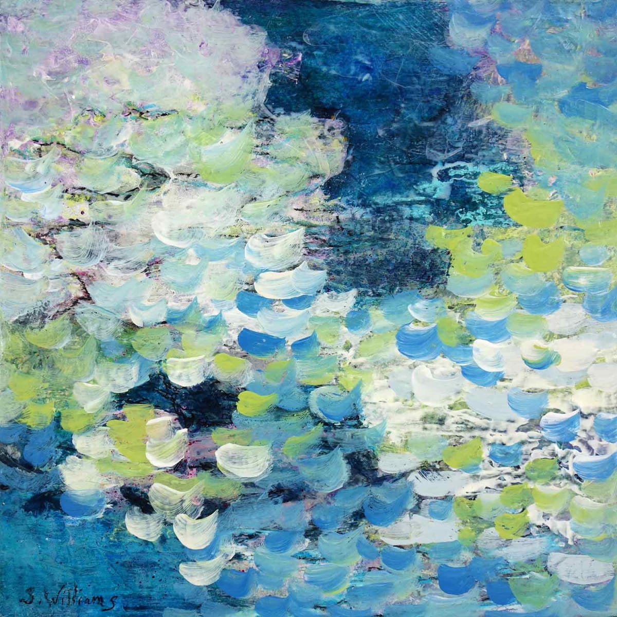 Shimmering Brook 2 by Shirley Williams 