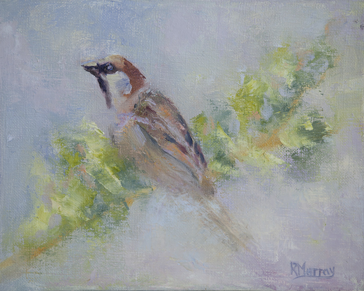 P. Domesticus by Roberta Murray 