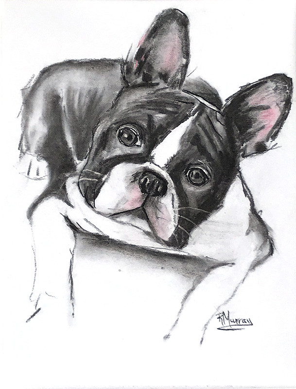 Frenchie by Roberta Murray 