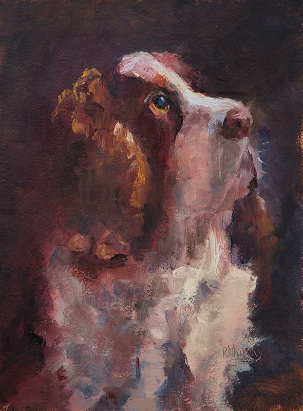 Romeo by Roberta Murray 