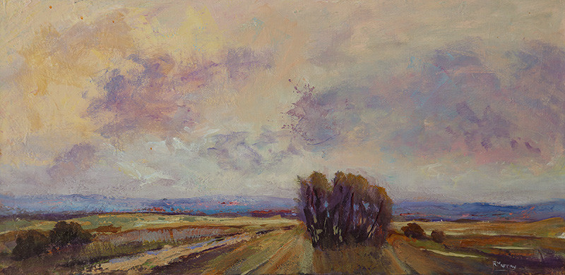 Foothills Skyscape by Roberta Murray 