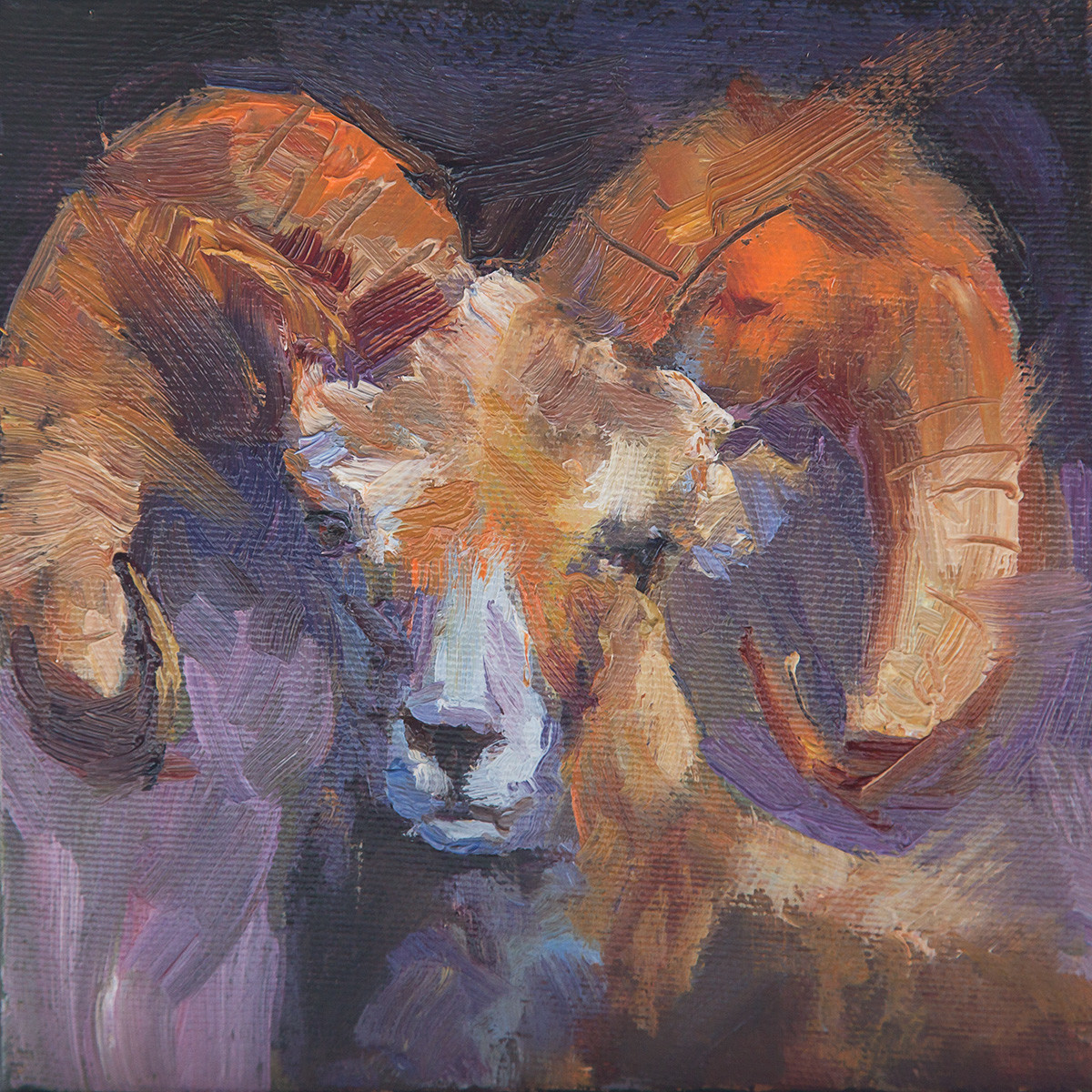 Rocky Mountain Majesty by Roberta Murray 