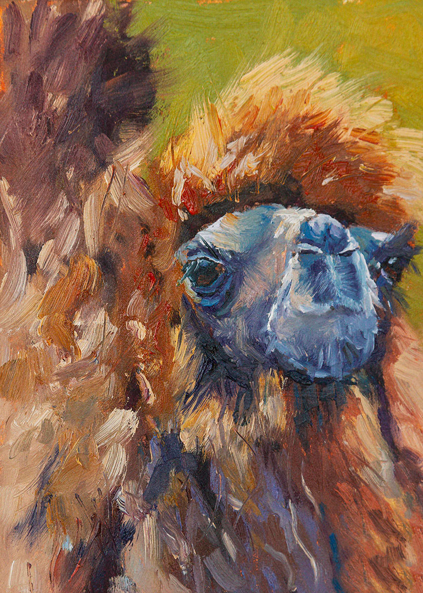 The Camel by Roberta Murray 