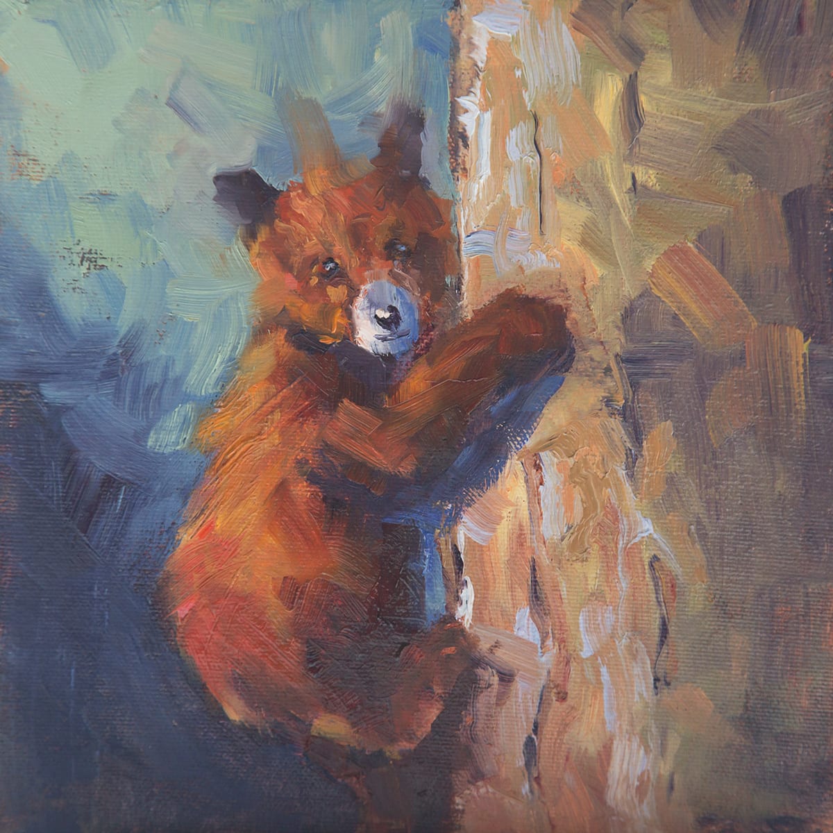 Up A Tree by Roberta Murray, Image 1.