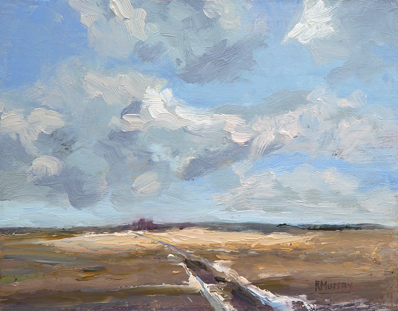 Last Of The Snow by Roberta Murray, Image 1.