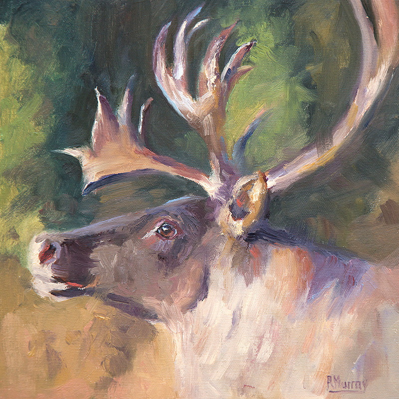 Woodland Wanderer by Roberta Murray 