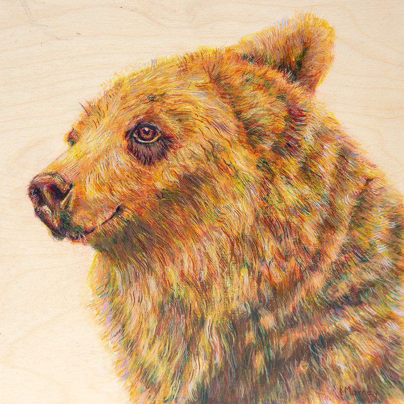 Berkley The Bodacious by Roberta Murray 