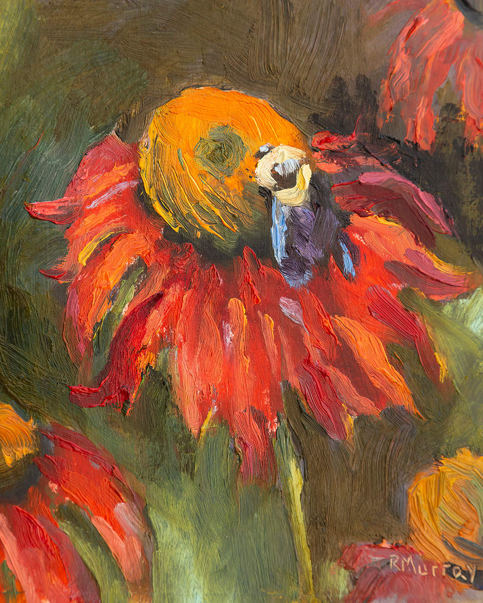 Echinacea by Roberta Murray 