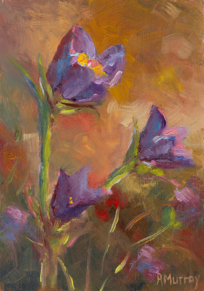 Prairie Crocus by Roberta Murray 