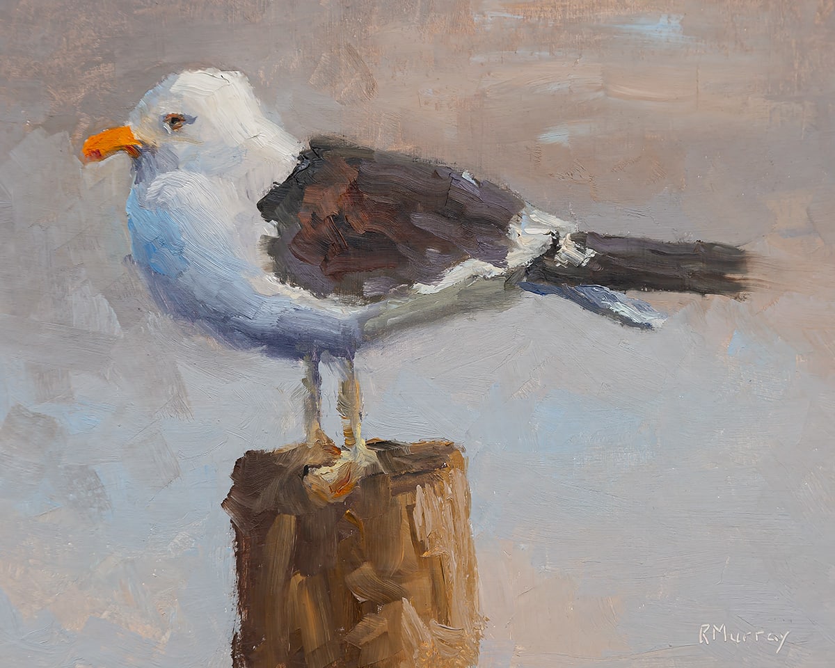 Regal Seagull by Roberta Murray 