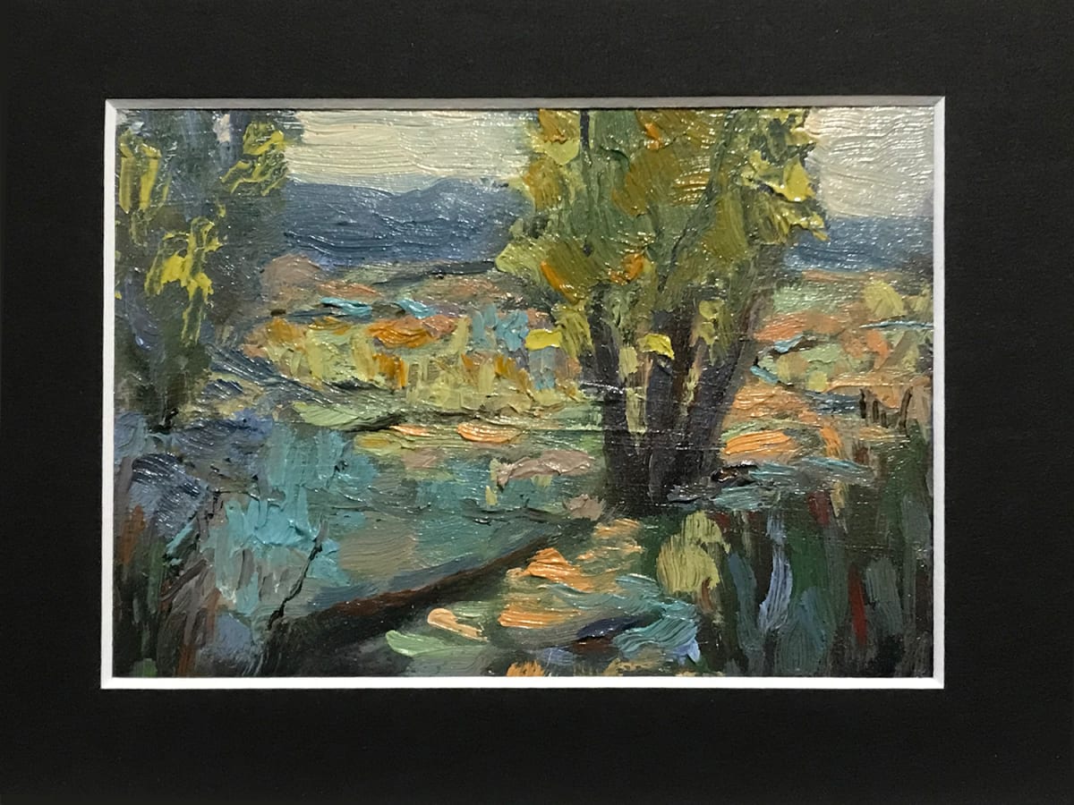 Springbrook Woods by Roberta Murray 