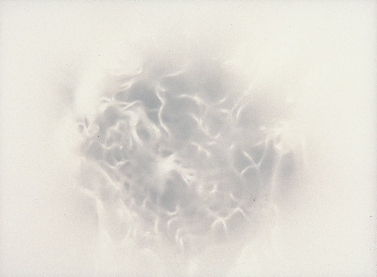 Whisper 2 by Katherine Keltner, Image 1.