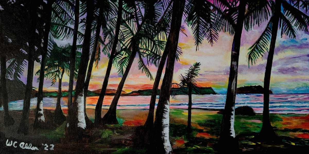 Samara Beach by Wayne C. Allen  Image: Samara Beach at sunset