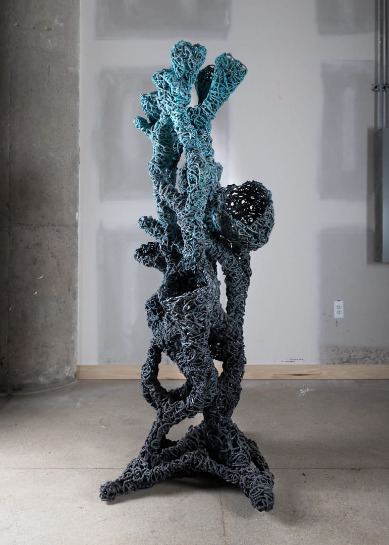 Plasticus Canistraria by Cody Norman 