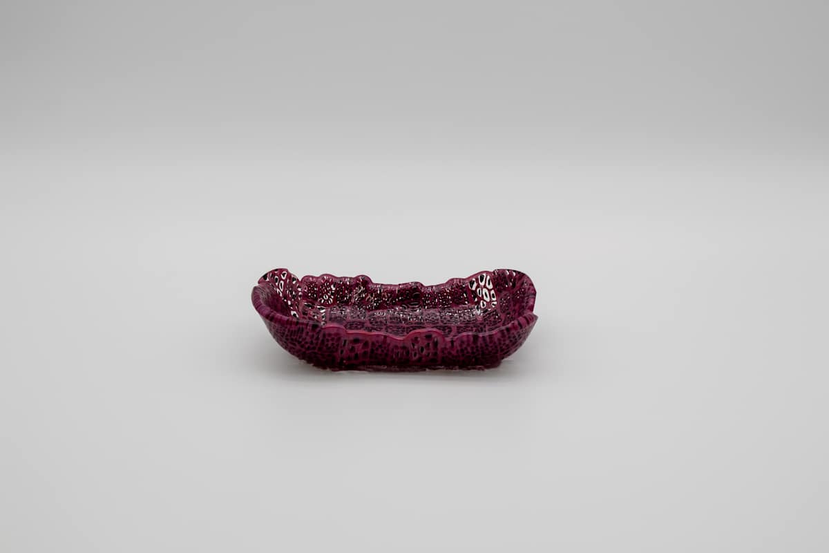 Epithelial by Kim Harty, Image 1.