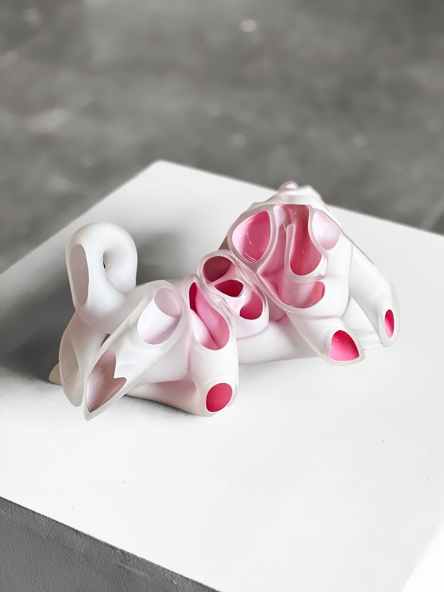 Imaginary Anatomy #1 by Kim Harty 