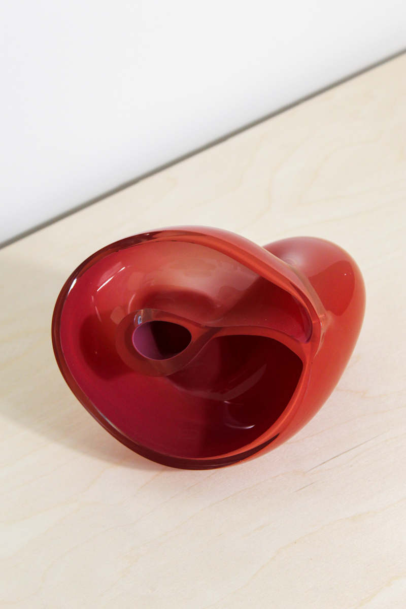 Ham Bone by Kim Harty, Image 4.