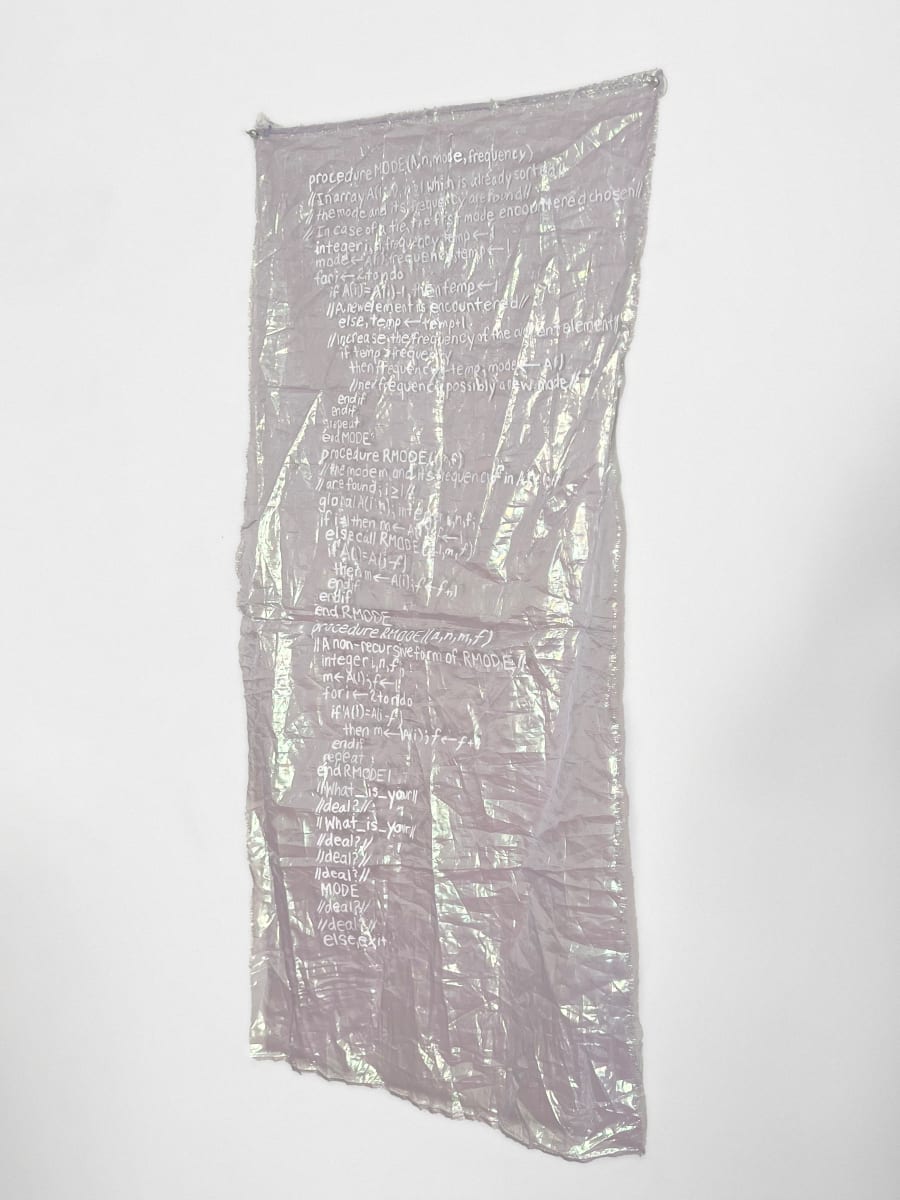 Rmode Primus by Paula Schubatis 