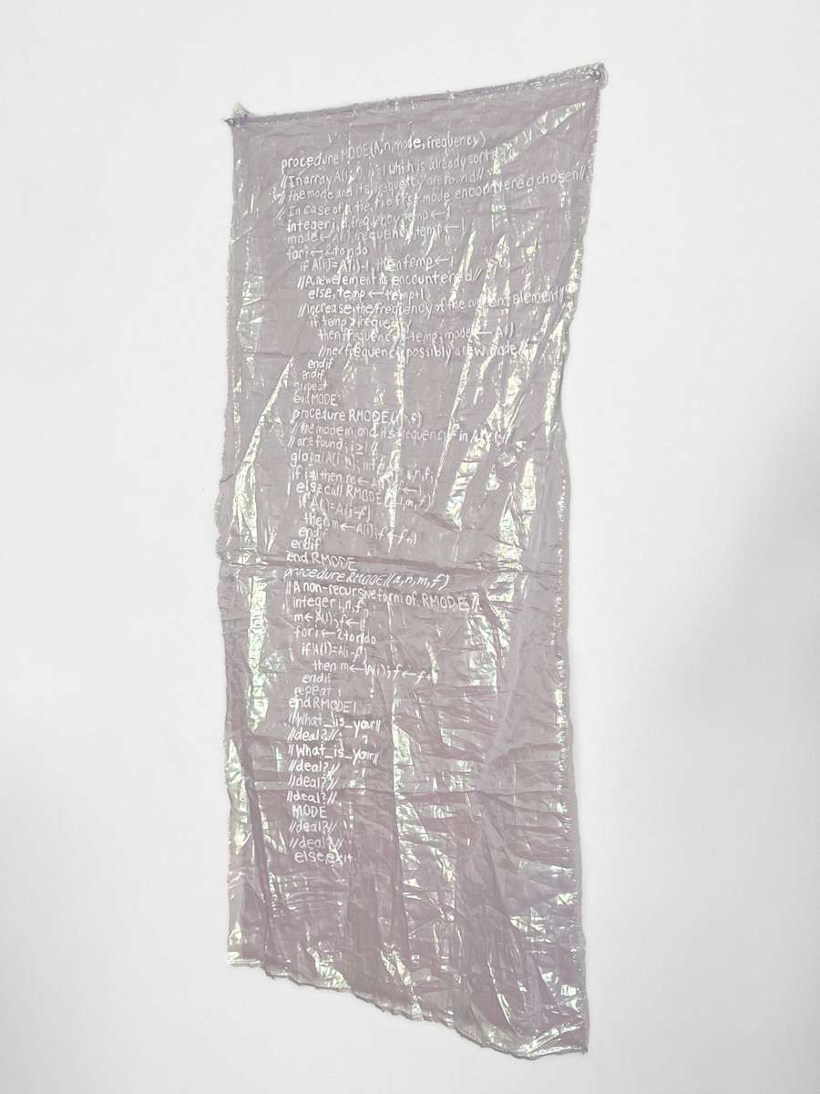 Rmode Primus by Paula Schubatis, Image 1.