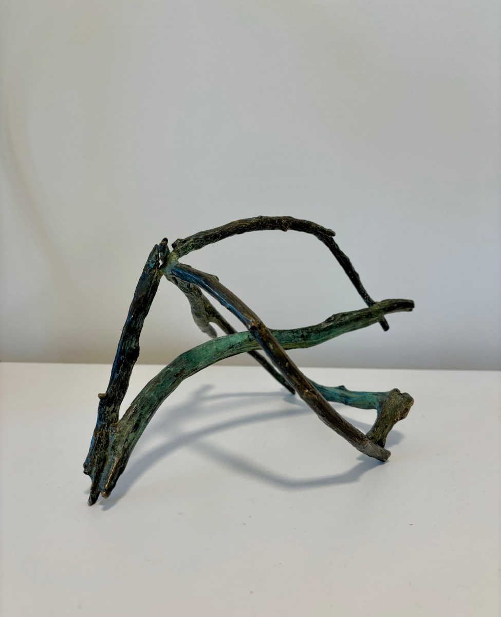 Xavier River II by Todd Erickson 