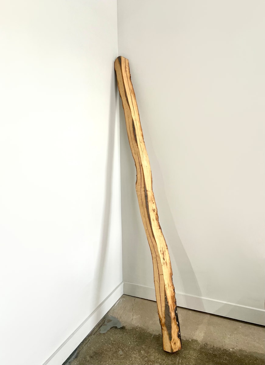 Shadow Branch II by Seth Keller 