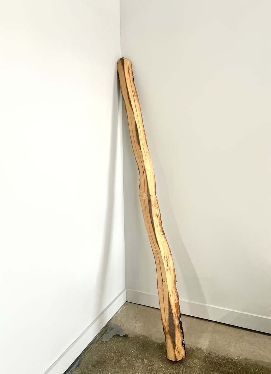 Shadow Branch II by Seth Keller, Image 1.